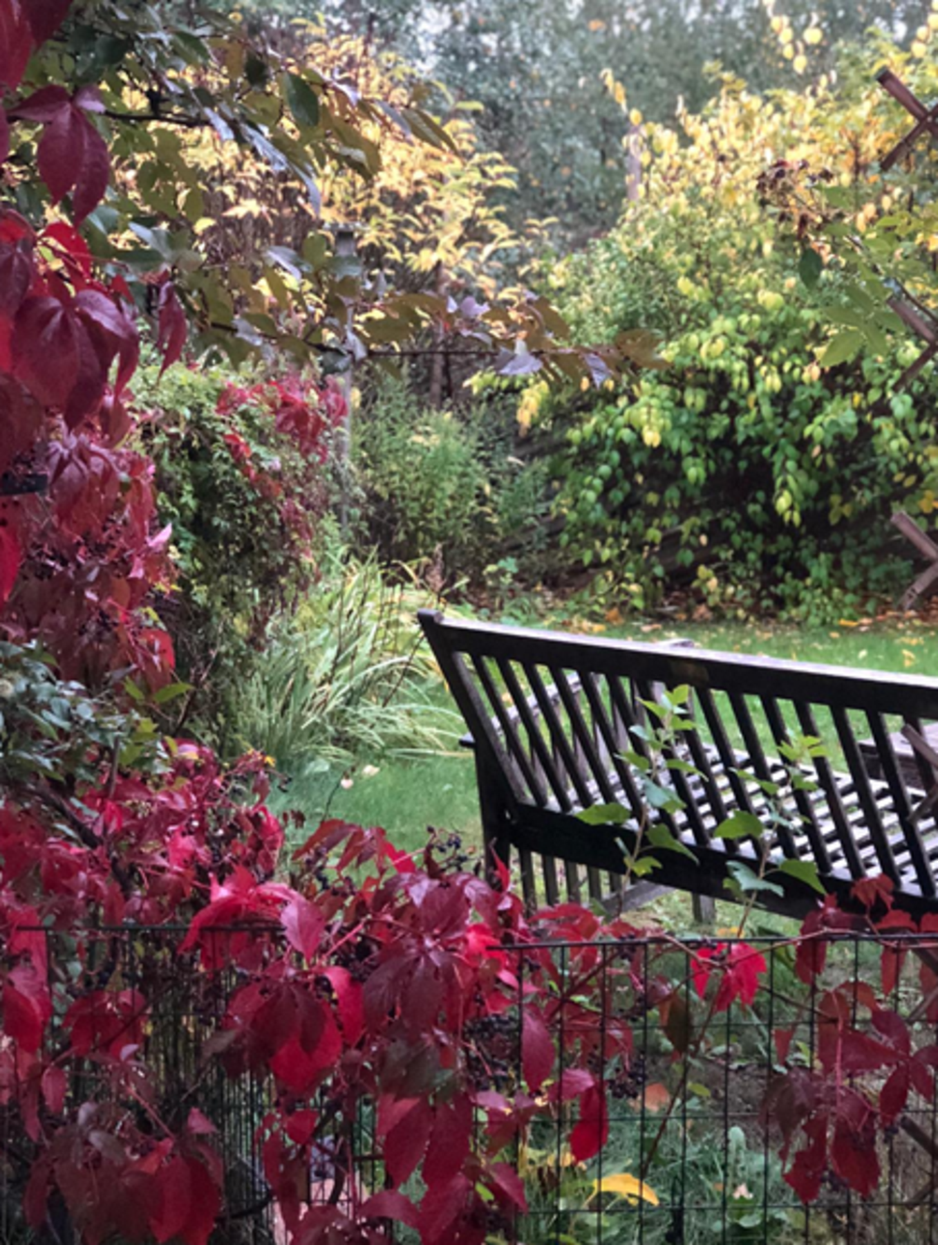 (Selgers egne bilder) Galleribilde