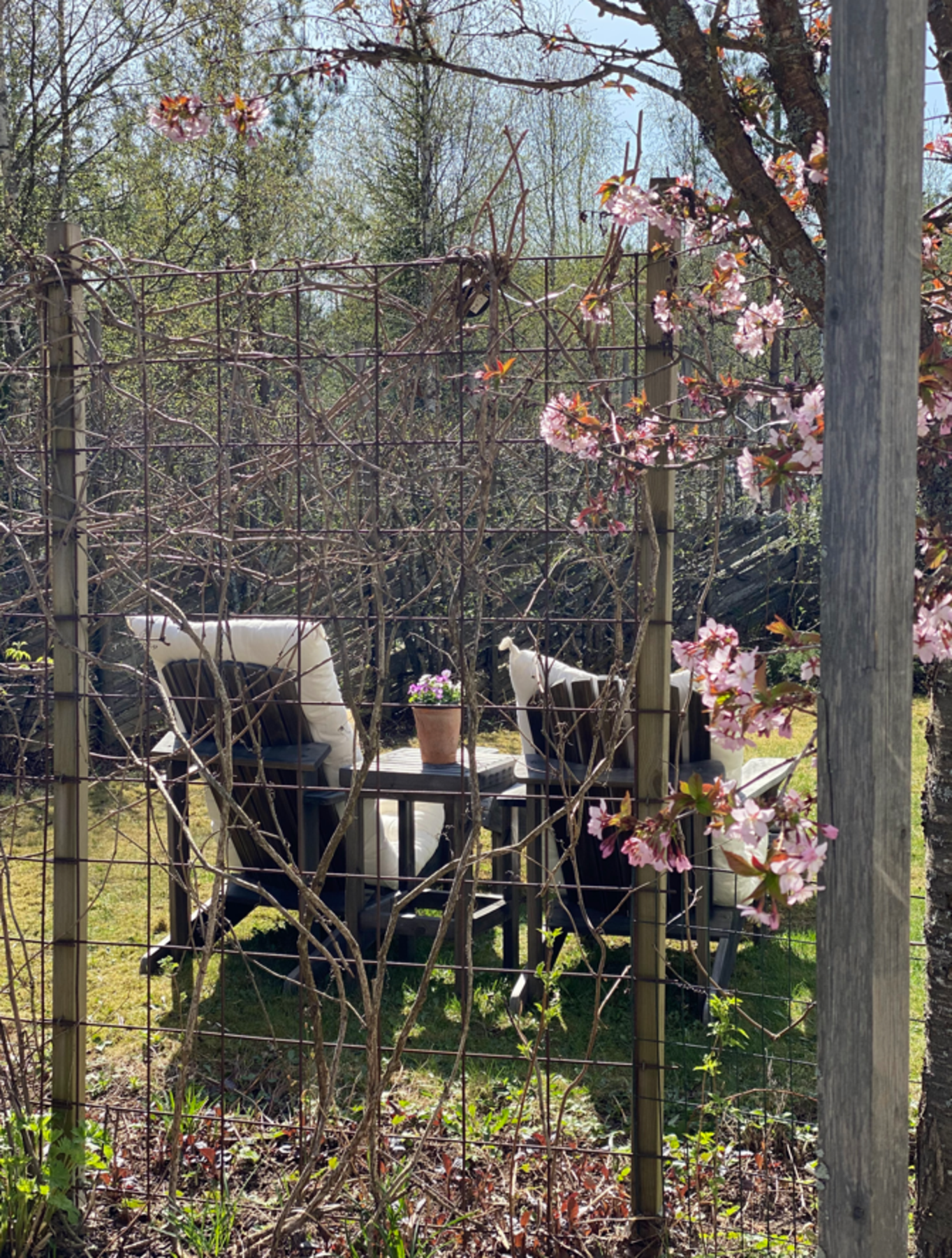 (Selgers egne bilder) Galleribilde