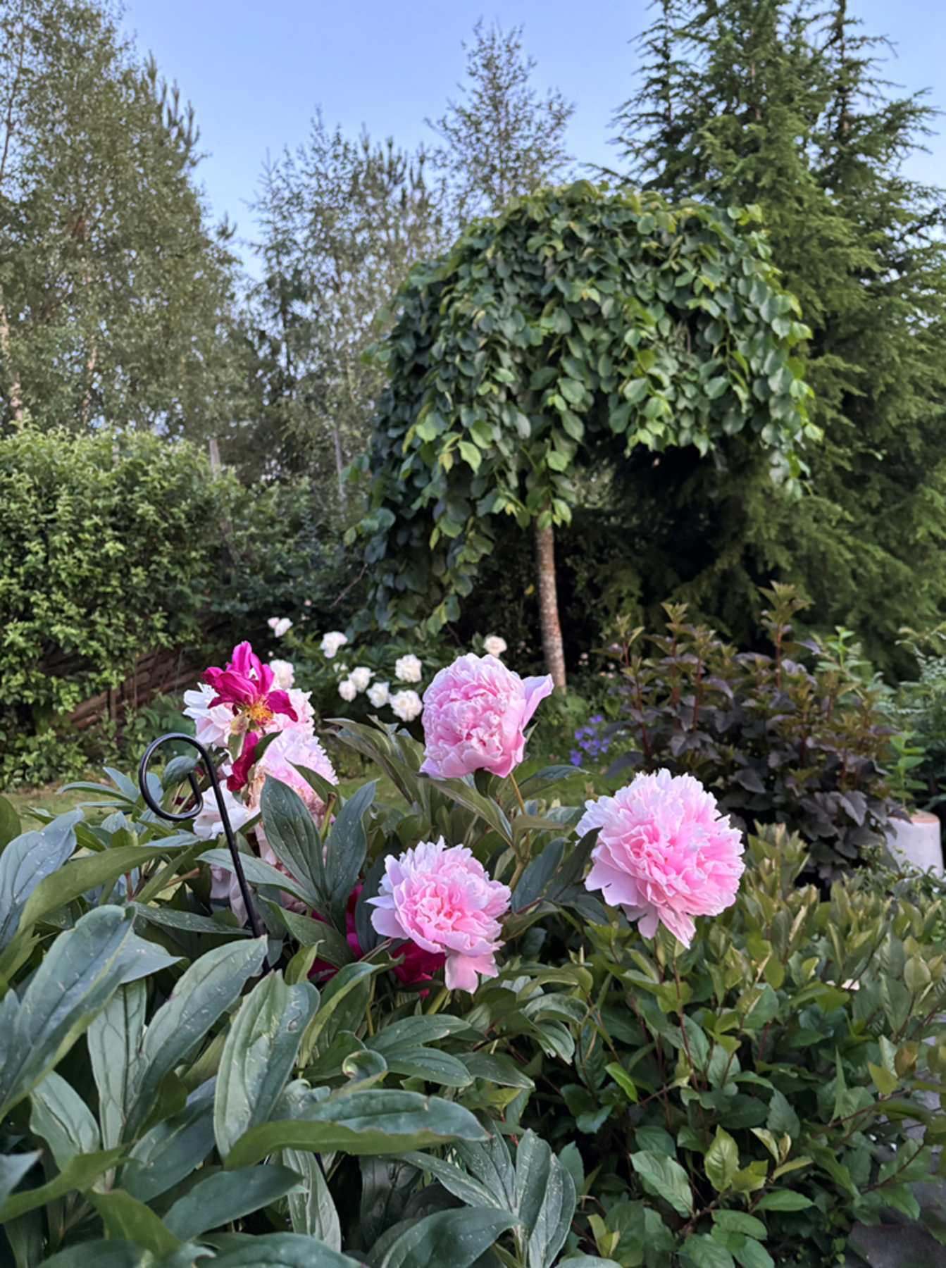 (Selgers egne bilder) Galleribilde