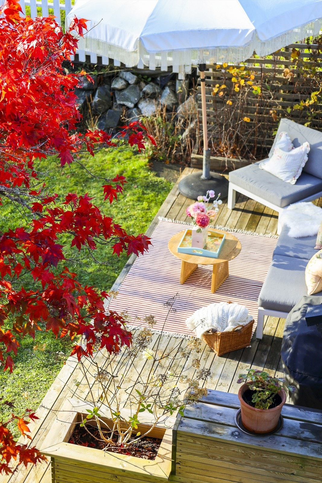 Hyggelig platting på bakside av isolert utebod Galleribilde