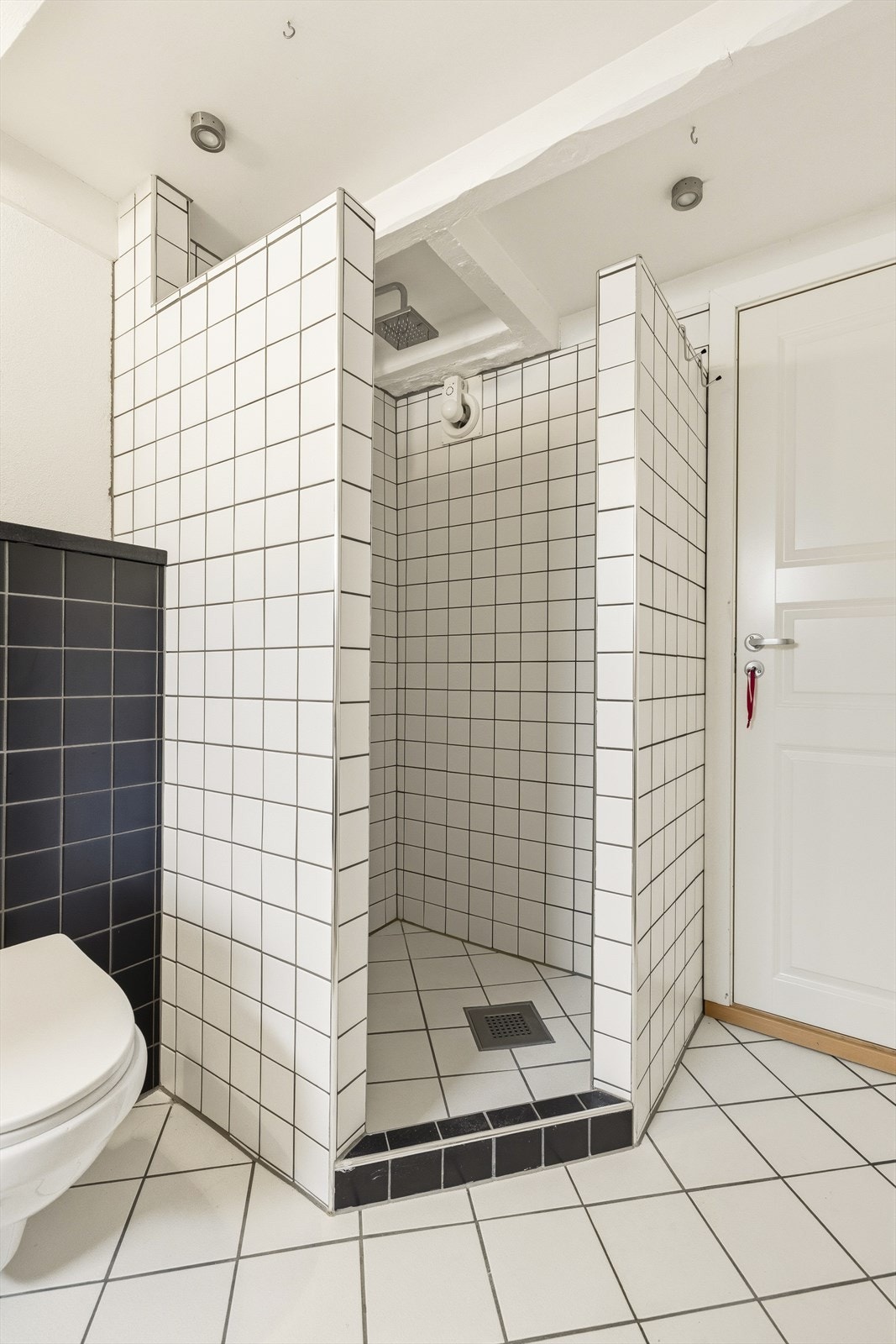 Dusjnisje. Hybel og hoveddel er adskilt med innvendig dør Galleribilde