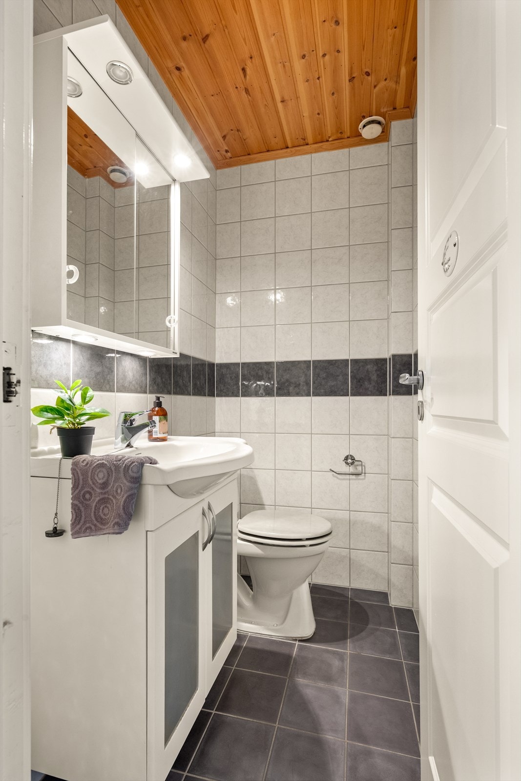 Separat toalett med servant i innredningen. Galleribilde