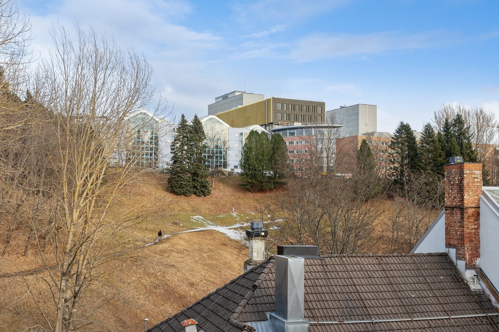 Fra leilighetens stuevindu har du direkte utsikt opp mot campusområdet på NTNU Gløshaugen. Galleribilde
