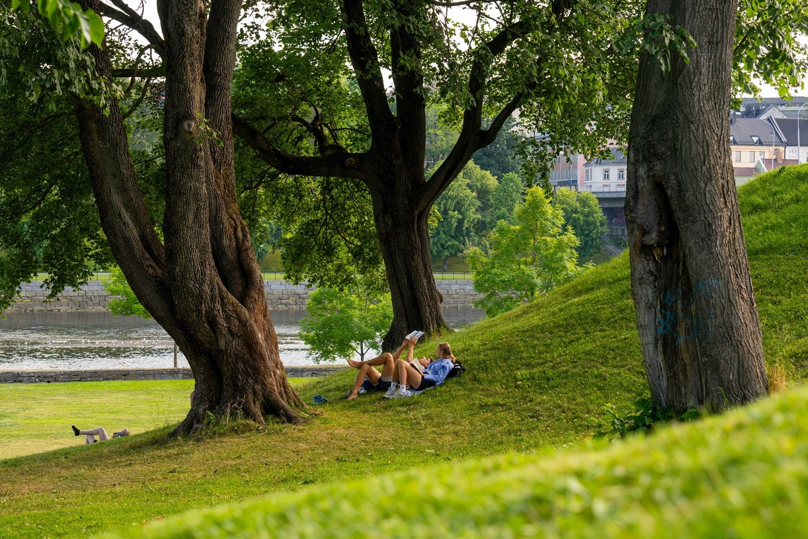 Du finner en rekke av byens særpregede grønne lunger i nærheten, blant annet Høyskoleparken og Marinen like nedenfor Nidarosdomen. Galleribilde