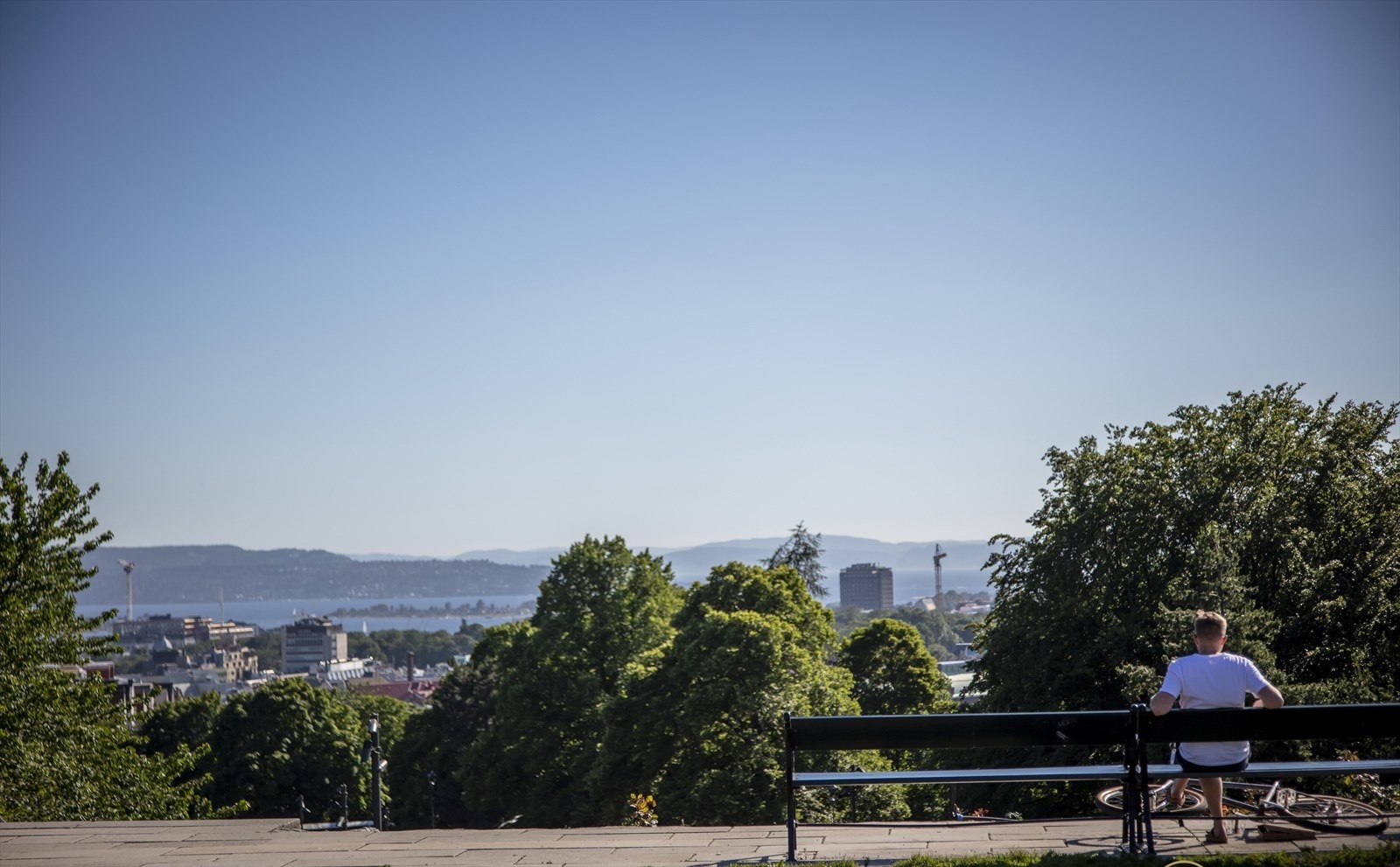 Områdebilde. Galleribilde