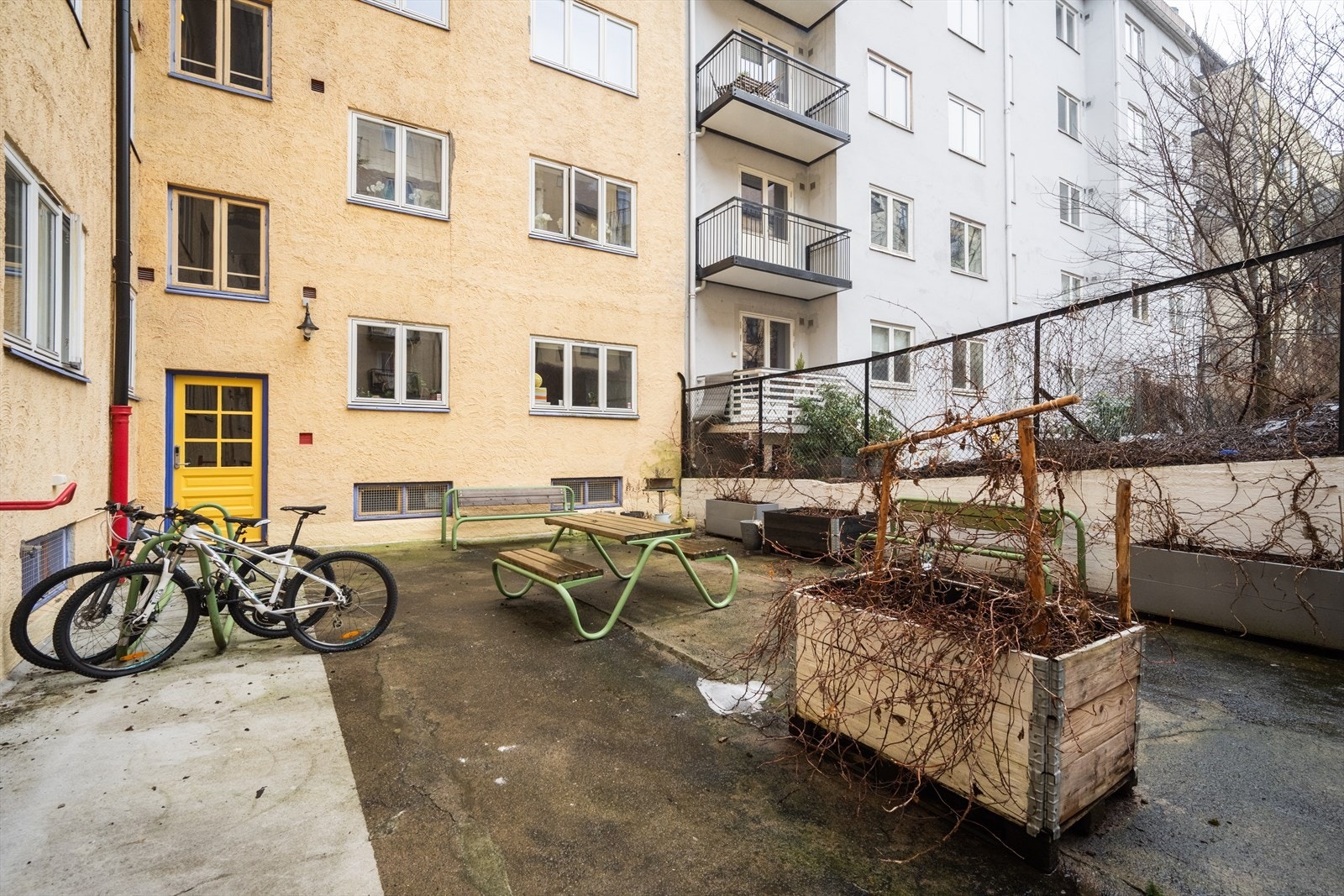 Bakgården er opparbeidet med asfalt og beplantning. Galleribilde