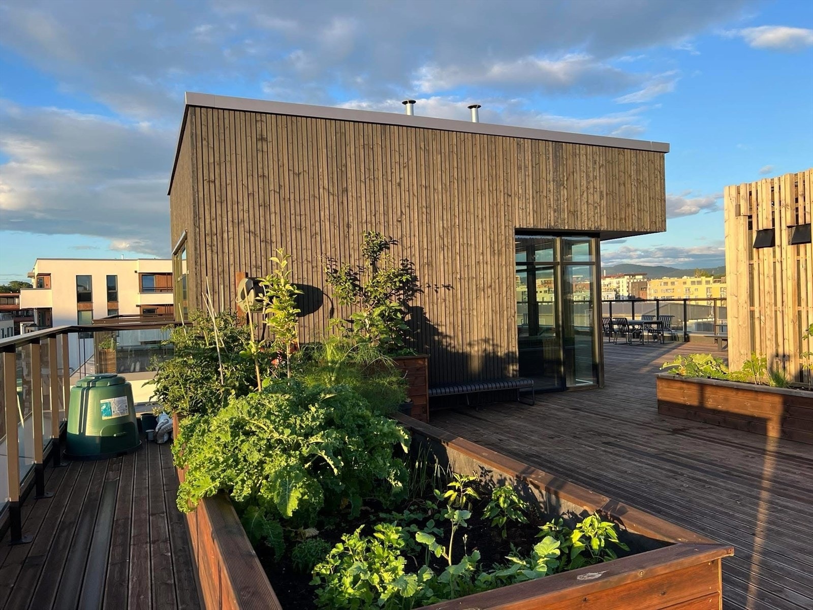 Felles takterrasse på toppen av nabobygget som kan benyttes av beboerne. Her kan solen nytes. Galleribilde