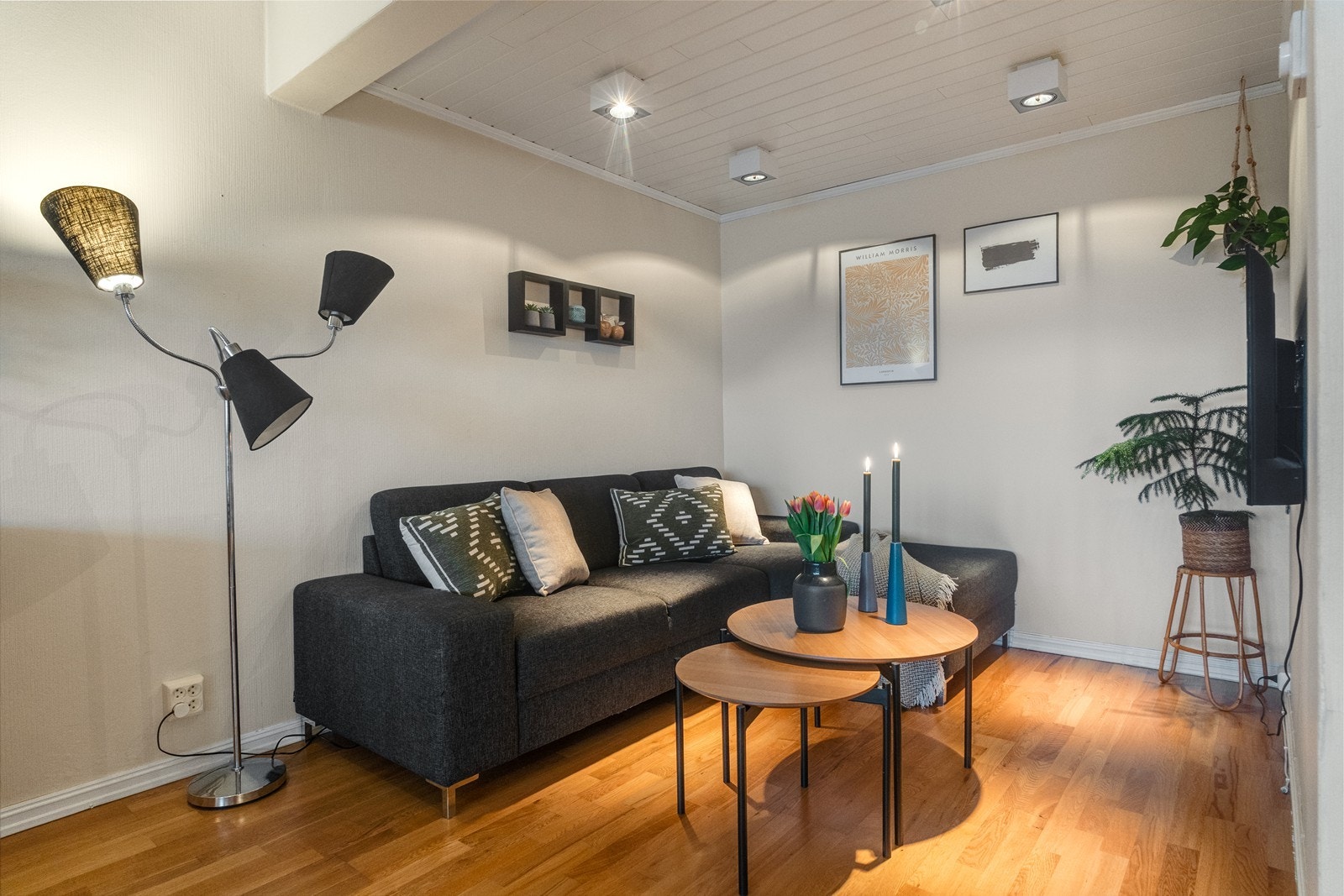 Trivelig tv-krok med plass til sofa - og tvmøbler. Galleribilde