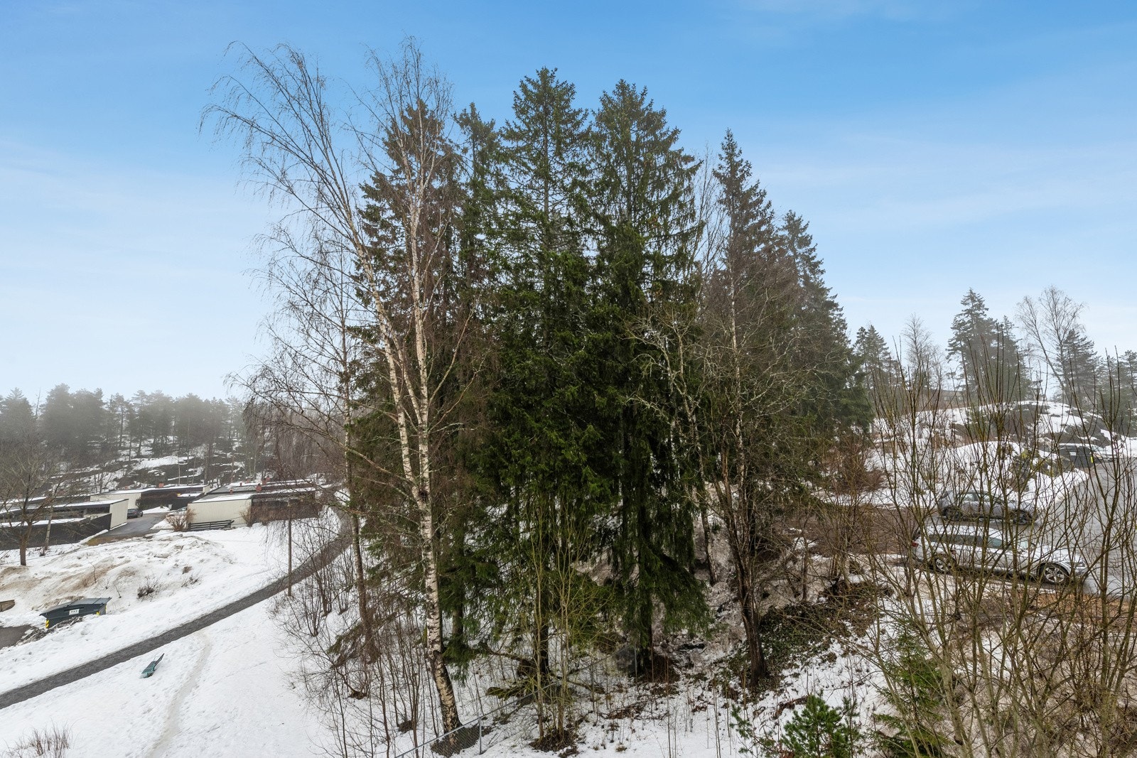 Utsikt. Galleribilde