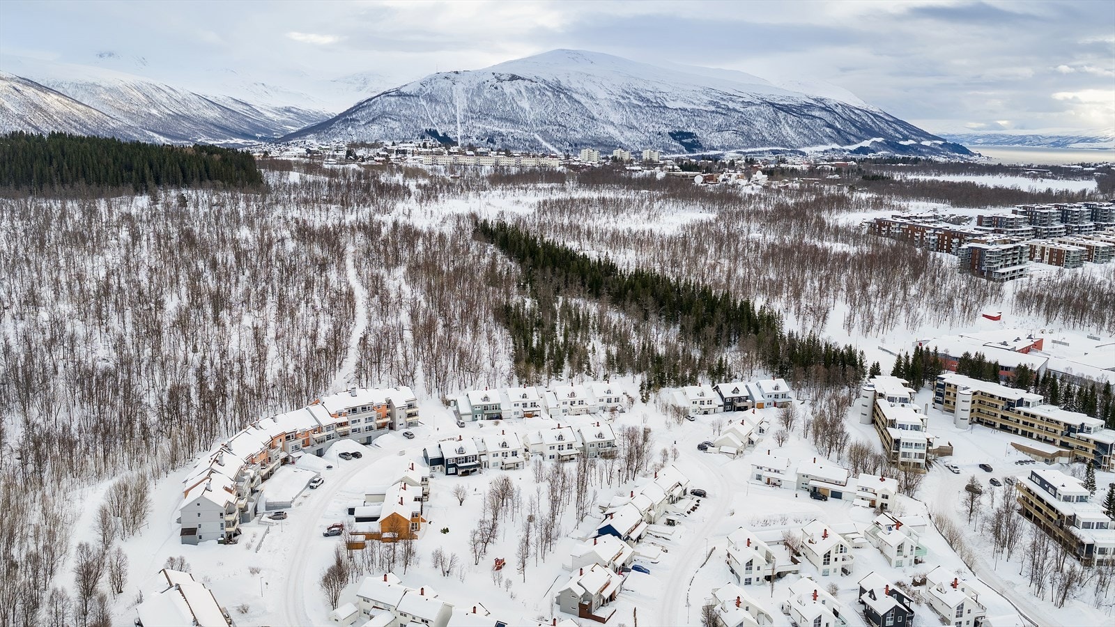 Velkommen på visning! Galleribilde