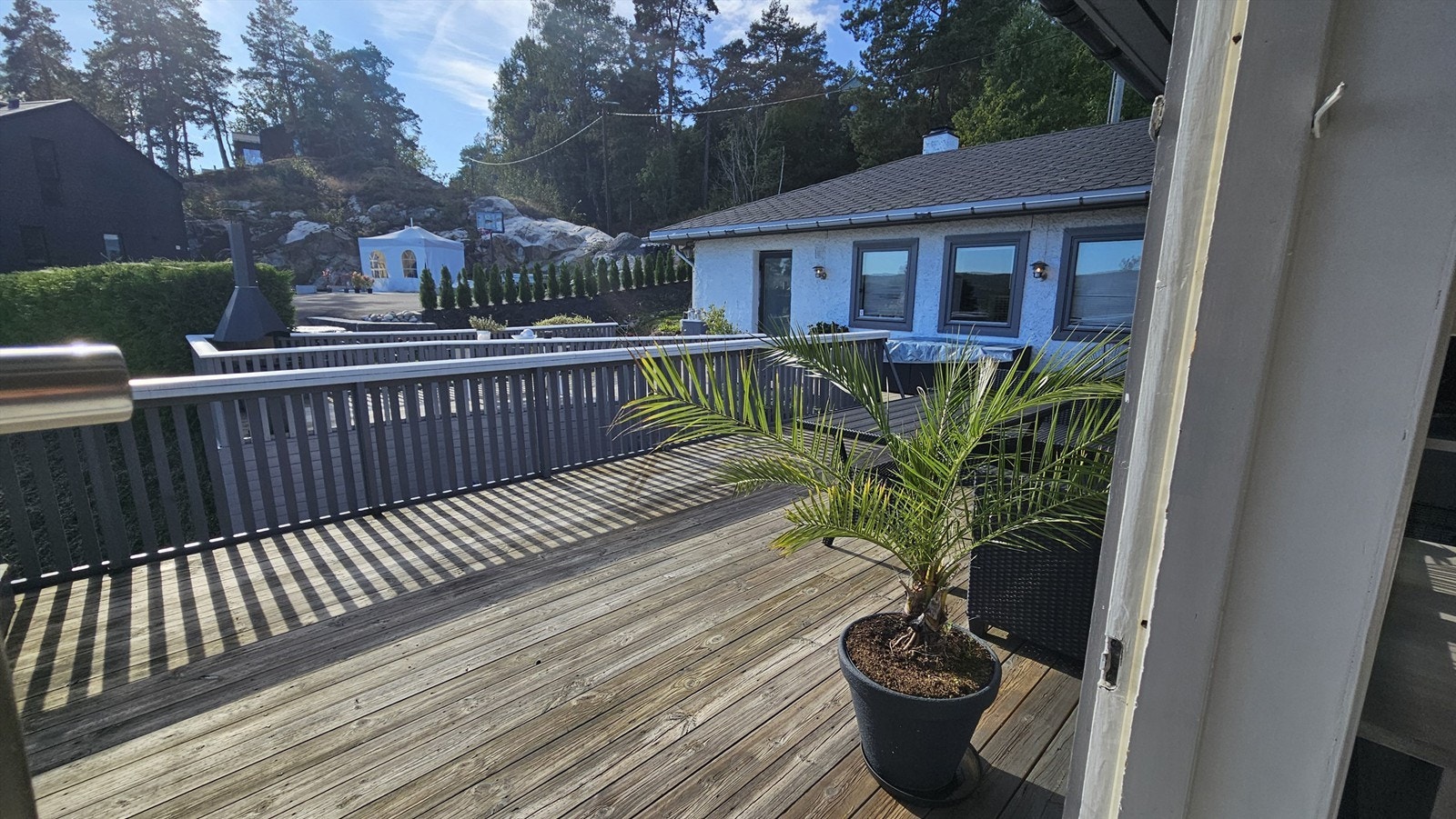 Selgers foto Galleribilde