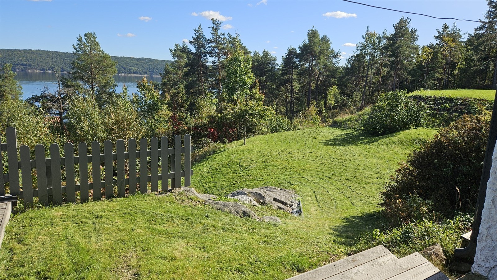 Selgers foto Galleribilde