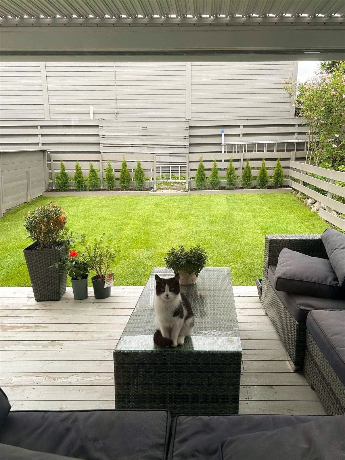 Selgers bilde fra sommeren 2025. Galleribilde