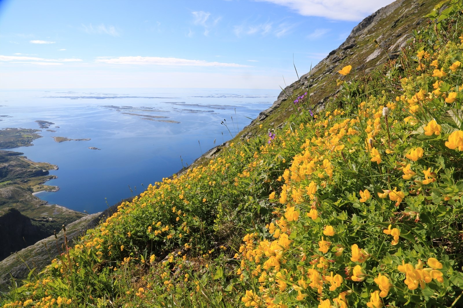 Bilde tatt fra en tur opp Dønnamannen Galleribilde