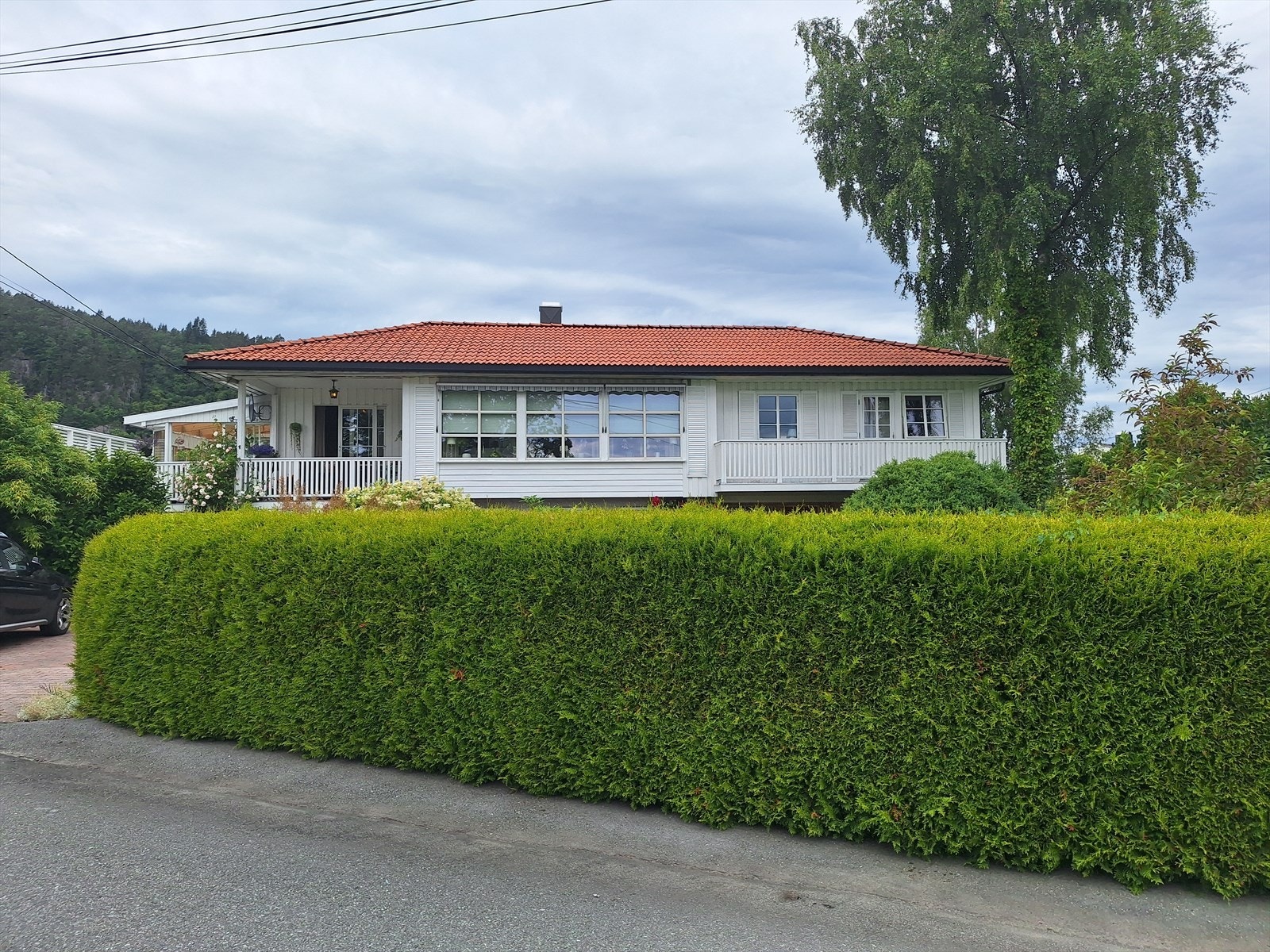 1000010625.jpg Galleribilde