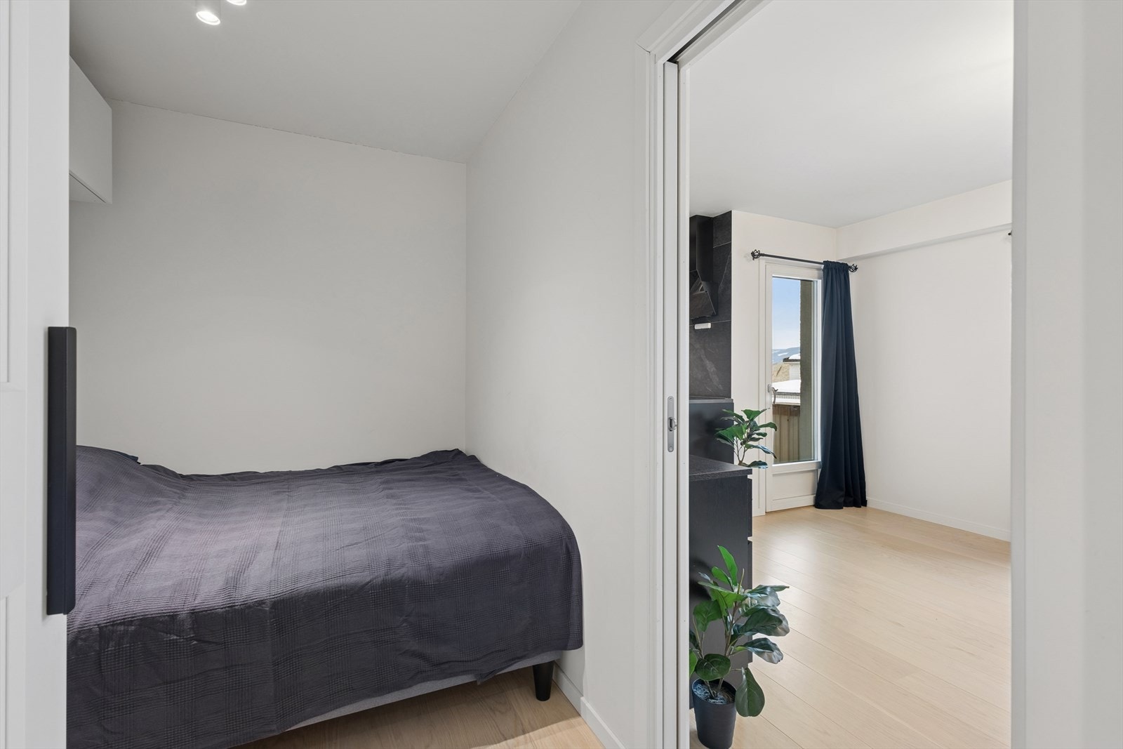 En smart skyvedør skiller sovealkoven fra stuen, noe som gir en arealeffektiv løsning. Galleribilde