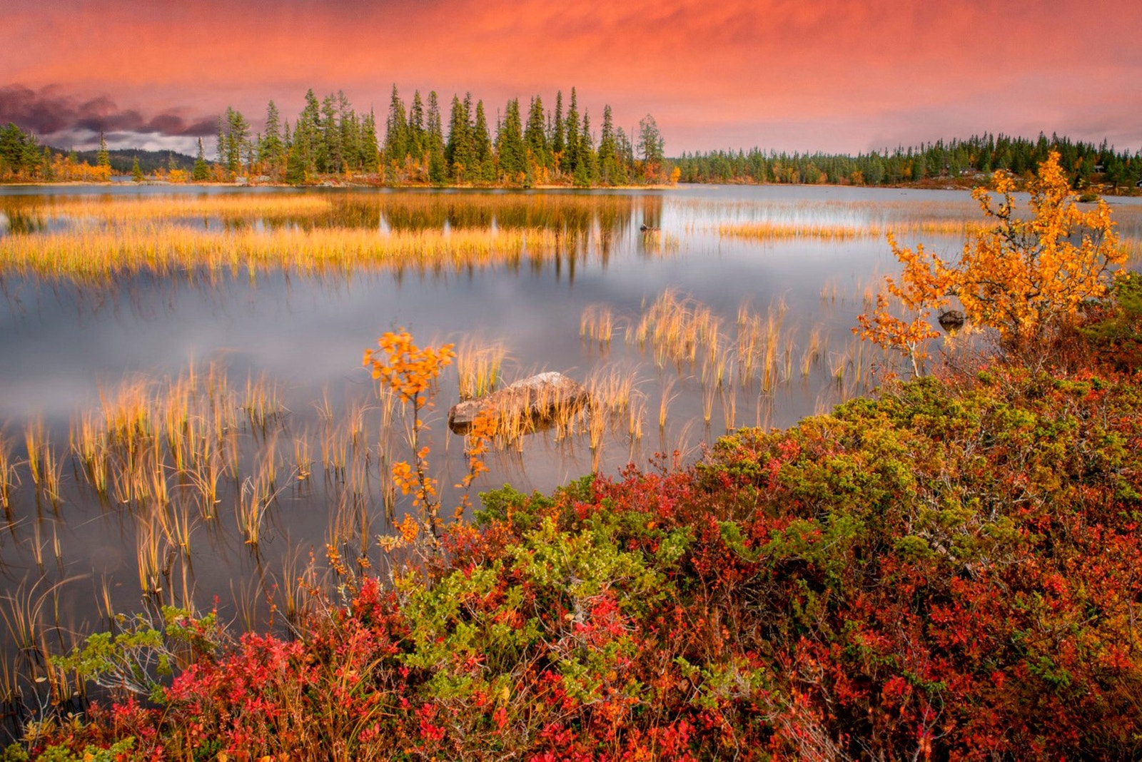 Nesbyen har utallige gode fiskevann og elvefiske. Her kan du få både ørret, røye, abbor, sik og gjedde på kroken. Galleribilde