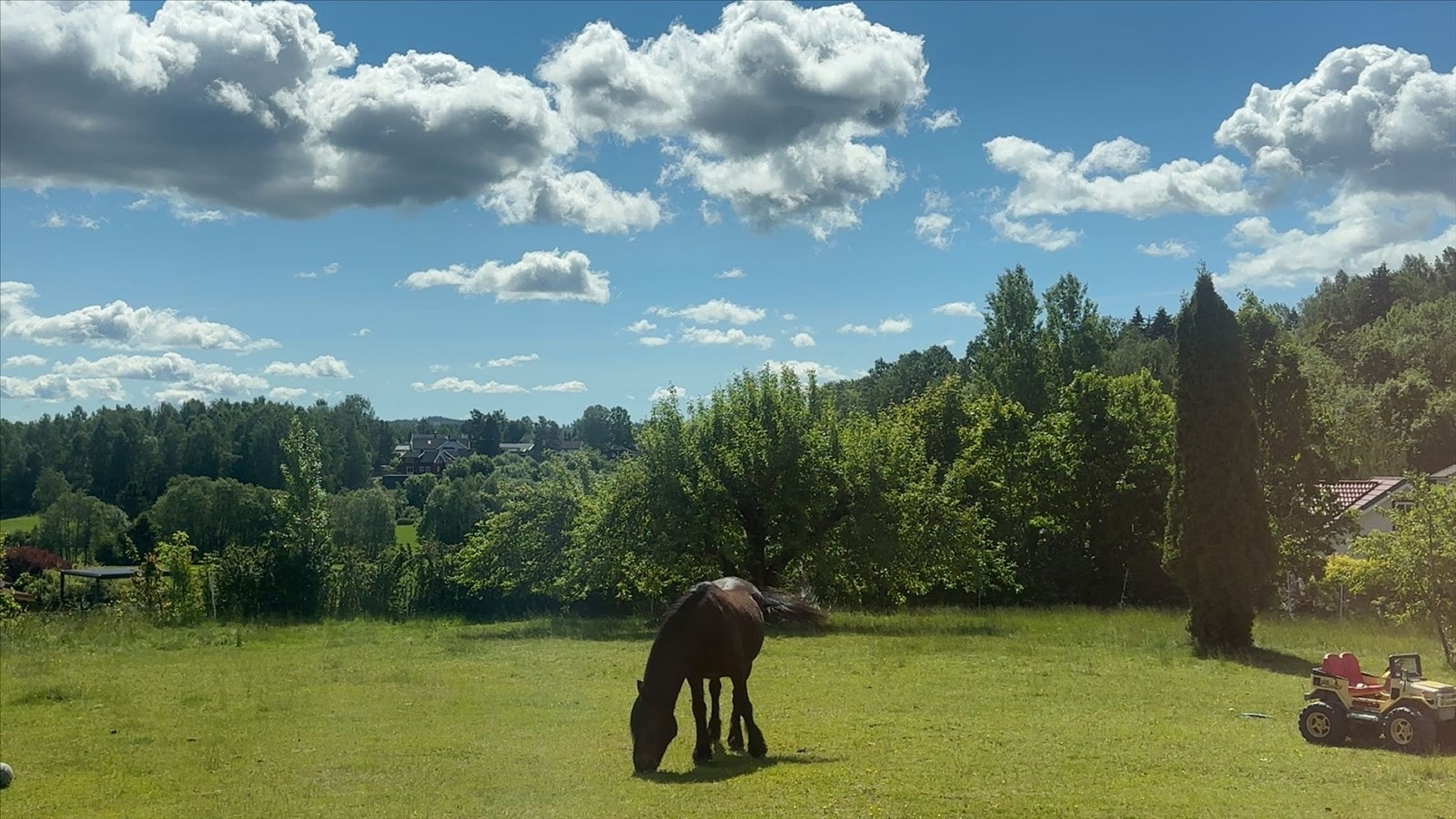 Bilde fra selger. Galleribilde