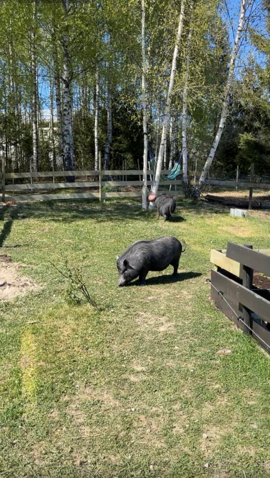 Bilde fra selger. Galleribilde