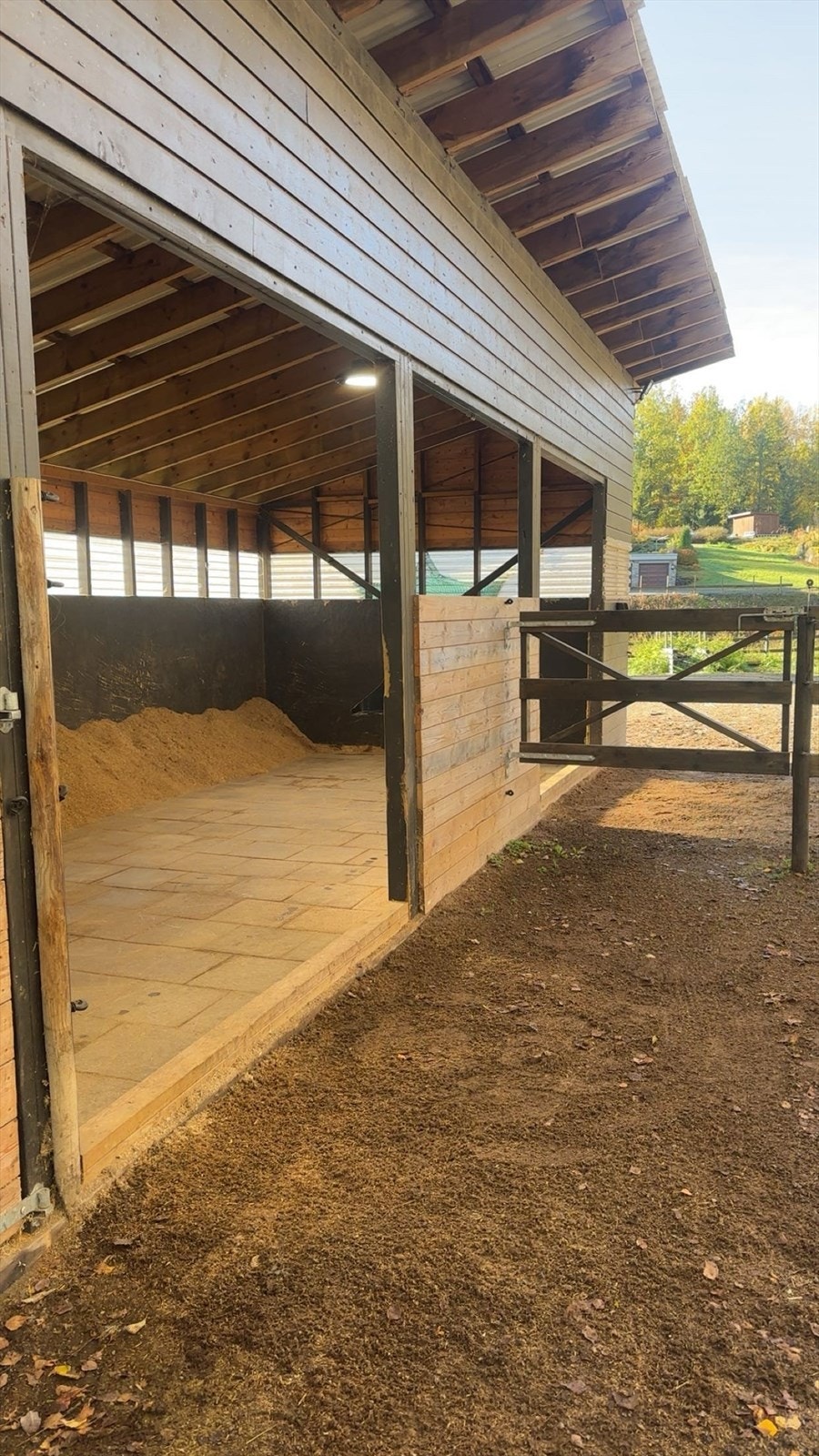 Bilde fra selger. Galleribilde