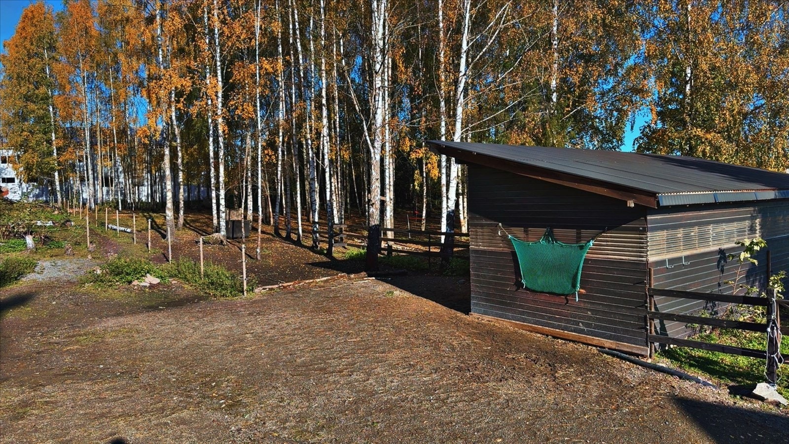 Bilde fra selger. Galleribilde