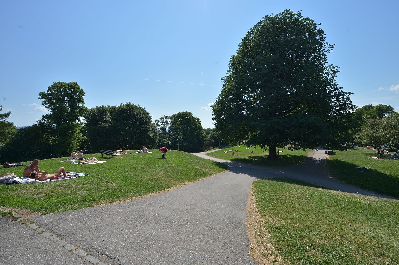 Flotte rekreasjonsmuligheter i nærheten med Stensparken - kun noen få minutter fra boligen Galleribilde