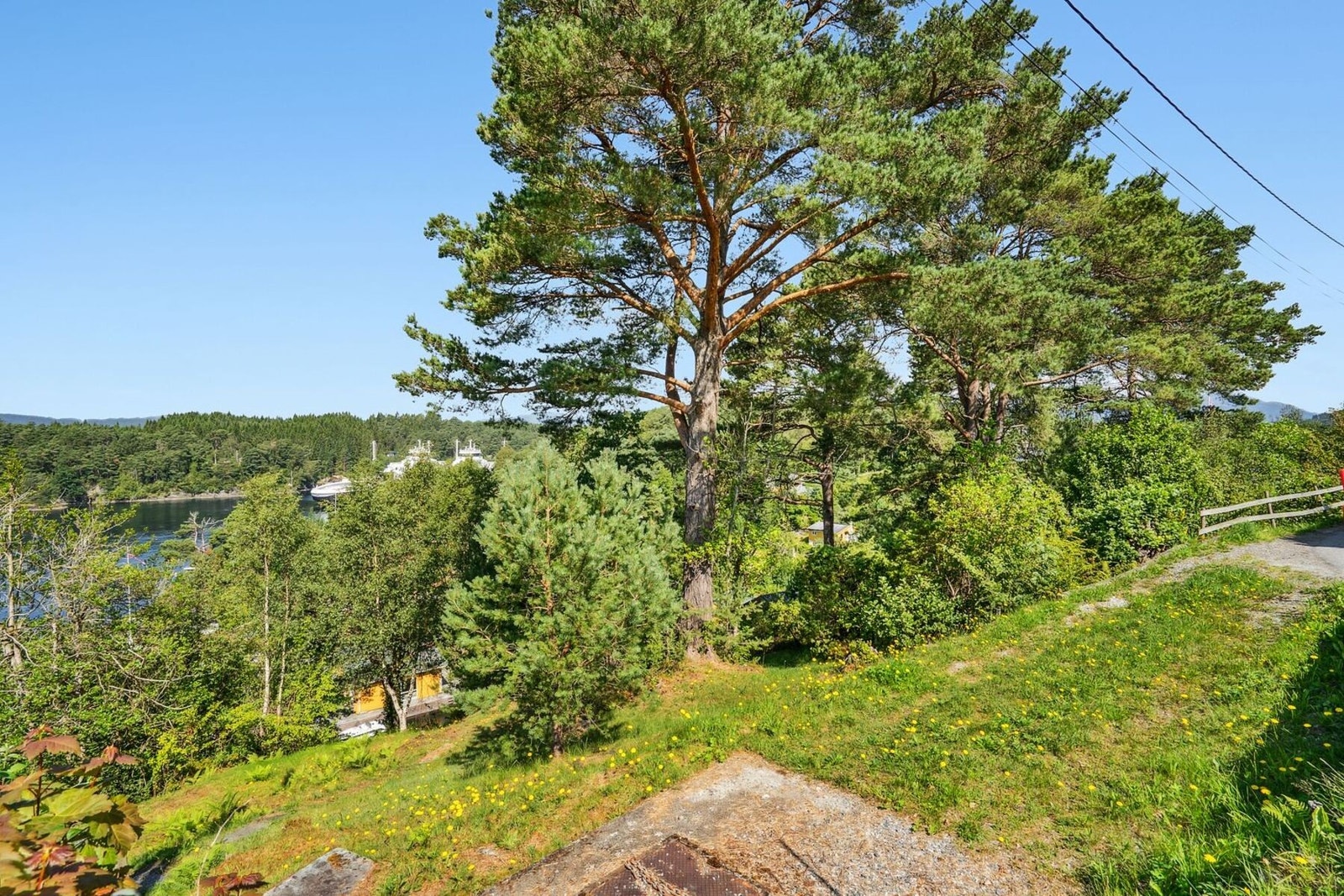 Mye naturtomt. Galleribilde