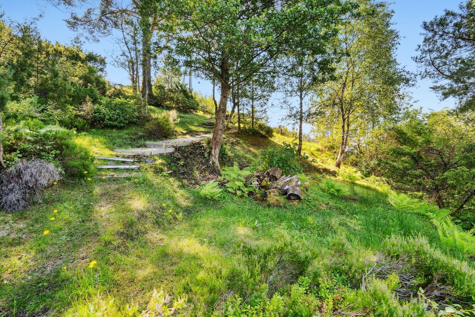 Tomten har et klart potensial for videreutvikling. Galleribilde