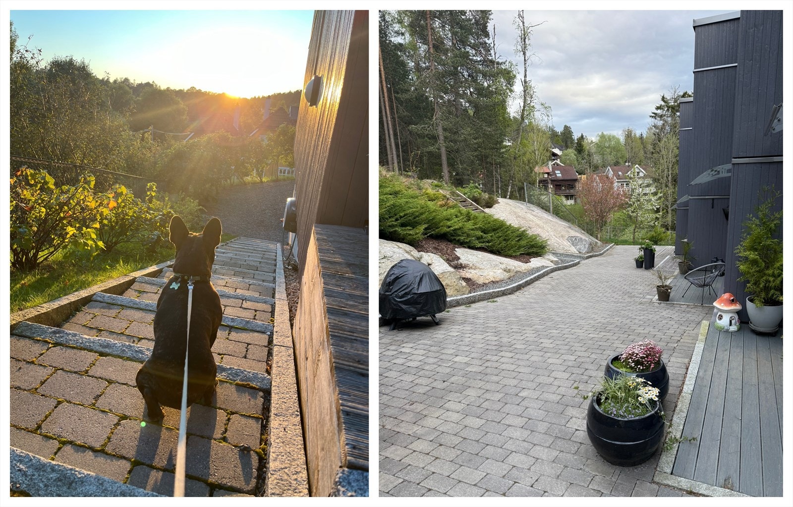 Velkommen til visning - Her vil du garantert trives! Galleribilde