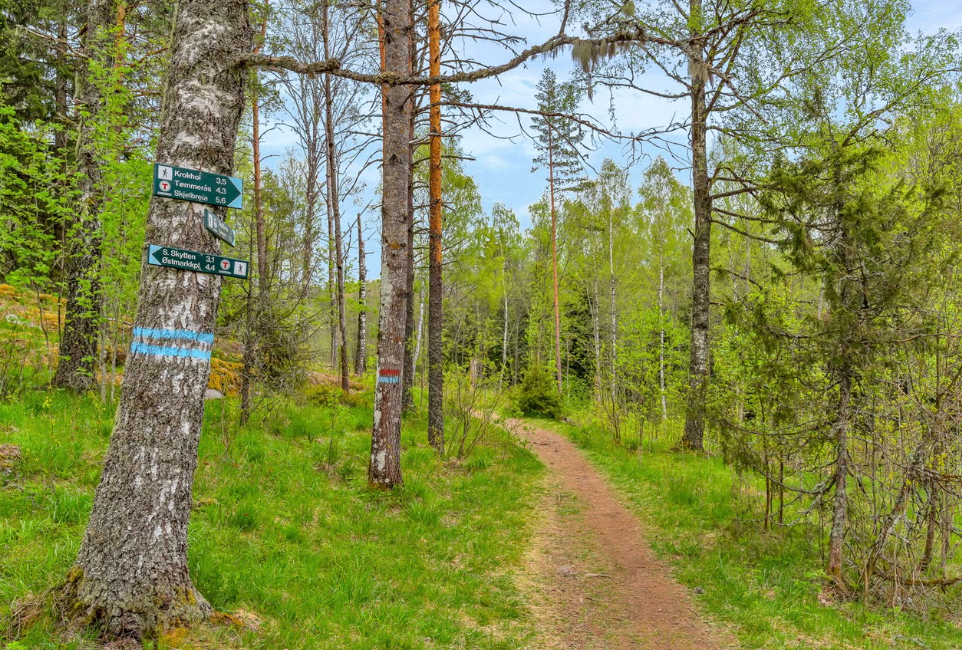 Marka med flotte turløyper Galleribilde