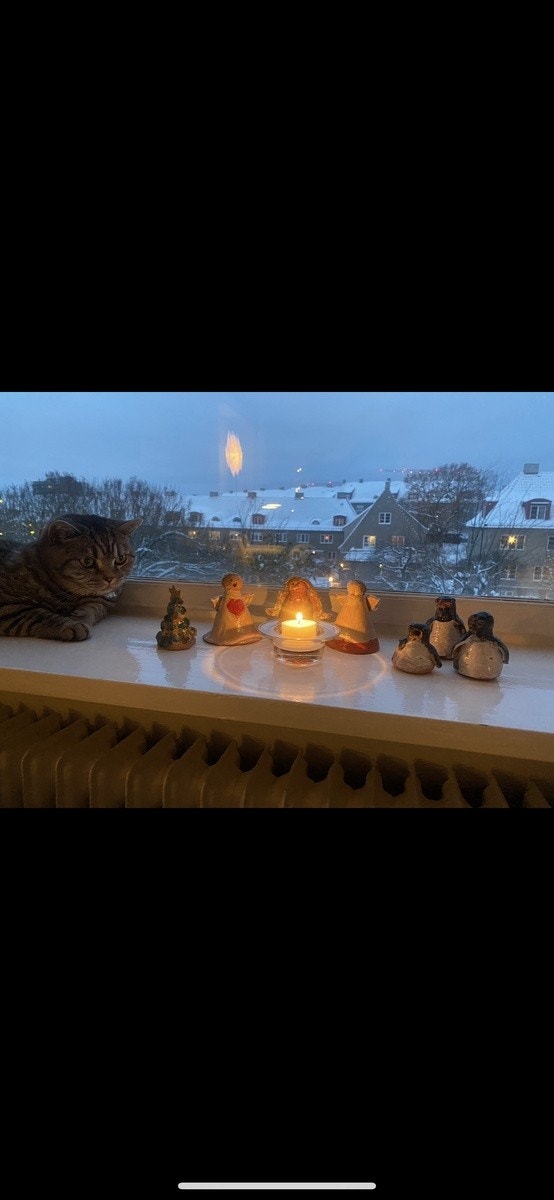 Pus Galleribilde