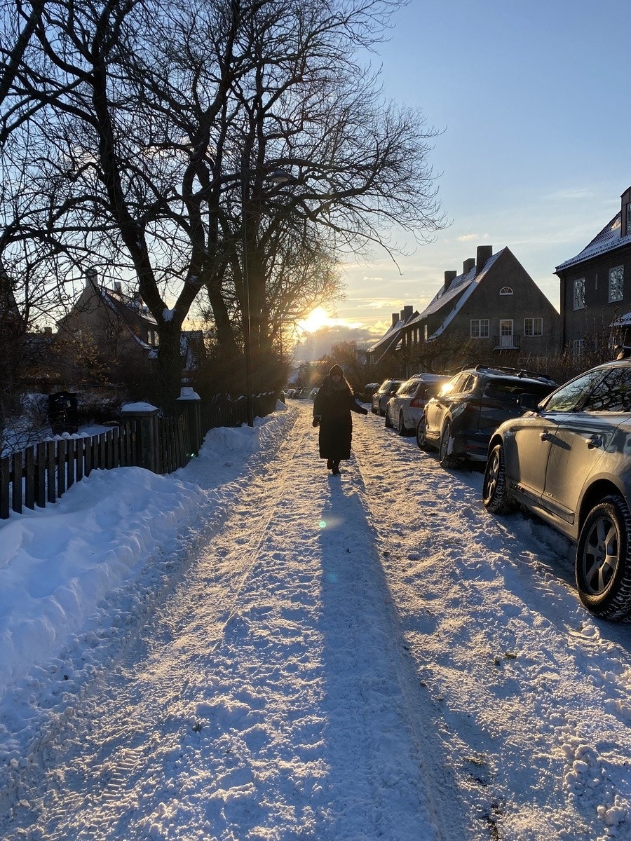 Koselig stille gate i Ullevål Hageby Galleribilde
