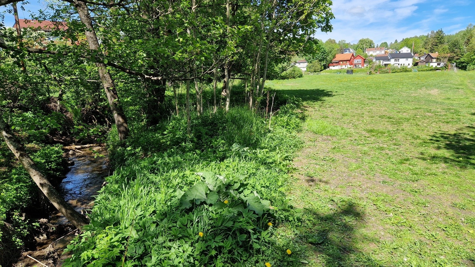 Månejordet. Galleribilde