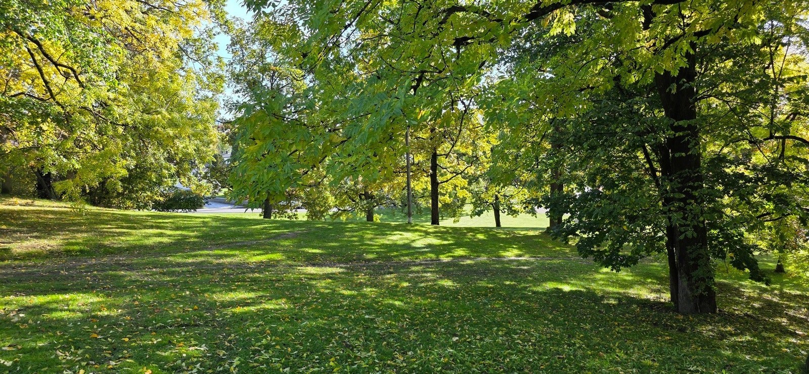 Damefallet er parkanlegg som tar det fra Nils Bays vei til Sognsvann. Galleribilde