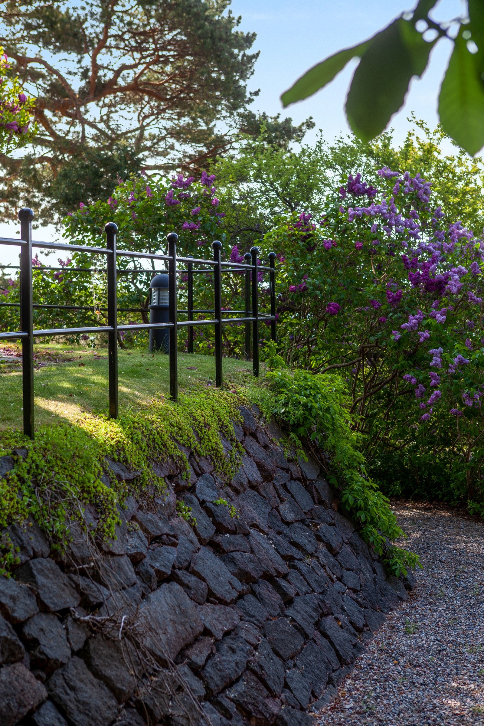 Her kan store og små gå på oppdagelsesferd og plukke epler, moreller, solbær, rips, amerikanske blåbær og flere typer druer. Galleribilde