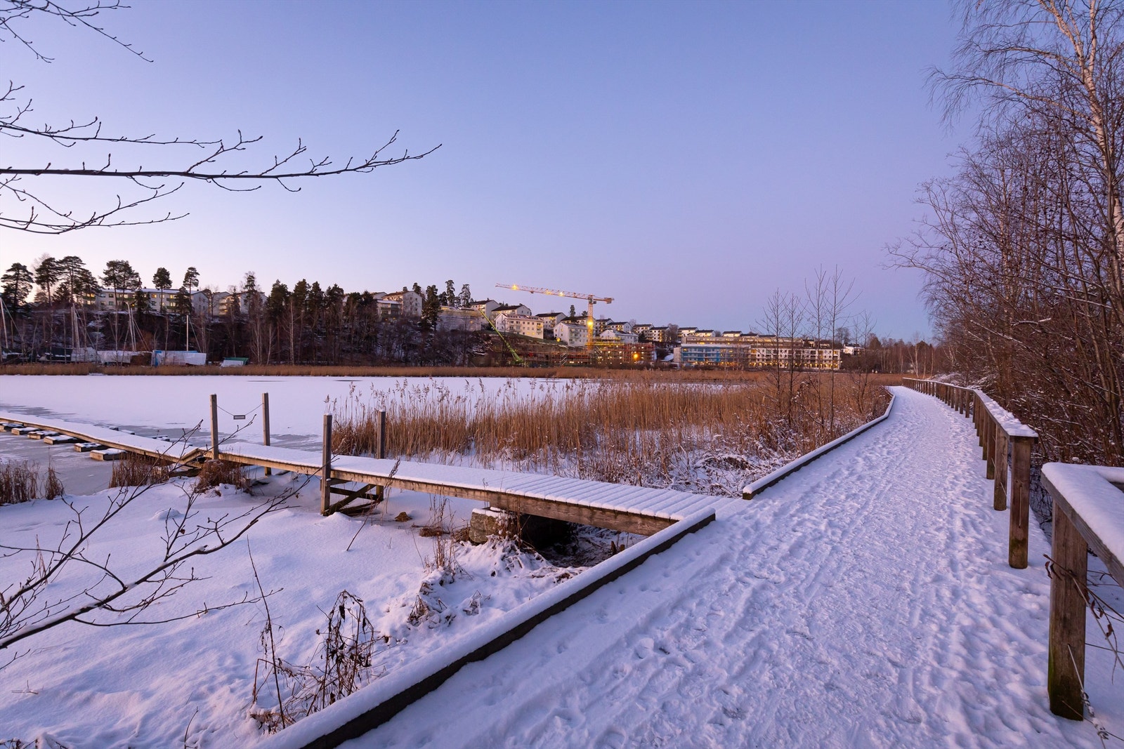 Det er mange turstier i området, her fra andre siden av Holtekilen Galleribilde