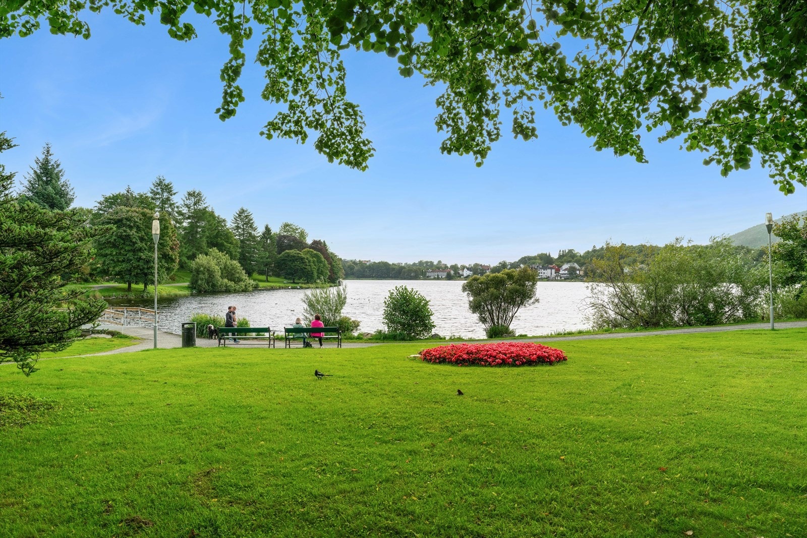 Tveitevannet - en koselig tur på ca 3 km. Galleribilde