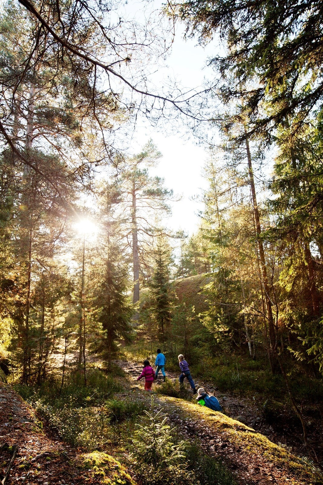 Det er få eiendommer på Lørenskog med denne fantastiske beliggenheten, perfekt for en aktiv familie! Galleribilde