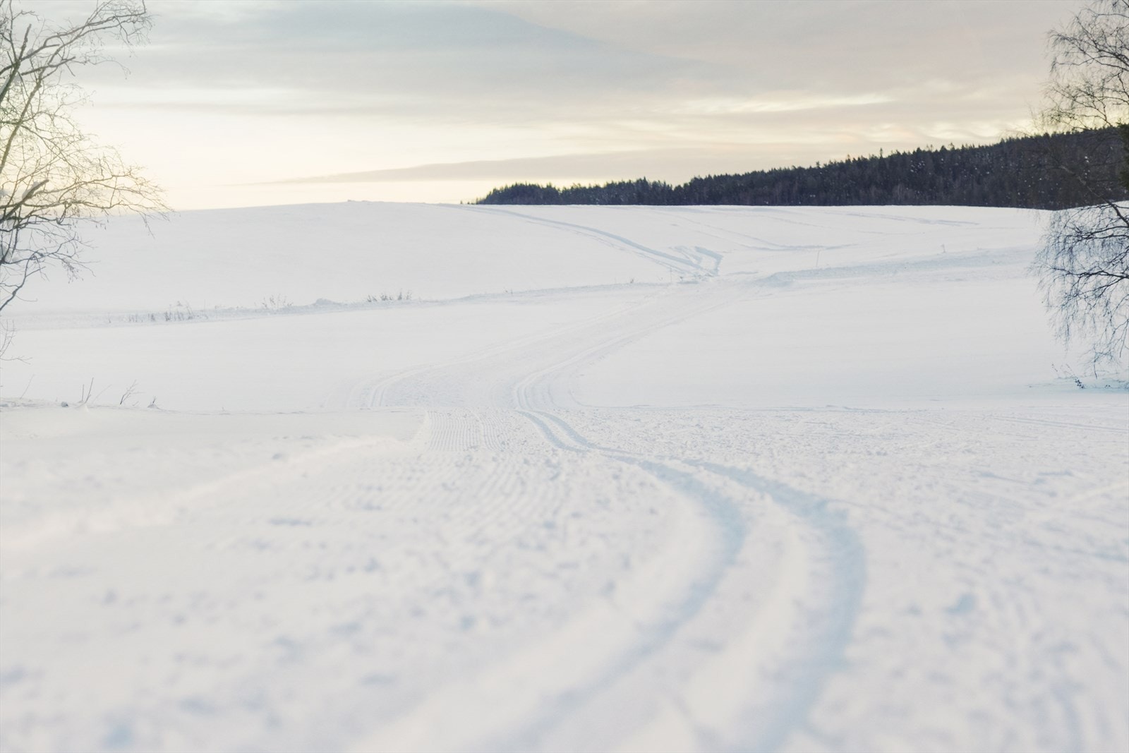 Fra eiendommen er det 100 m til marka! Galleribilde