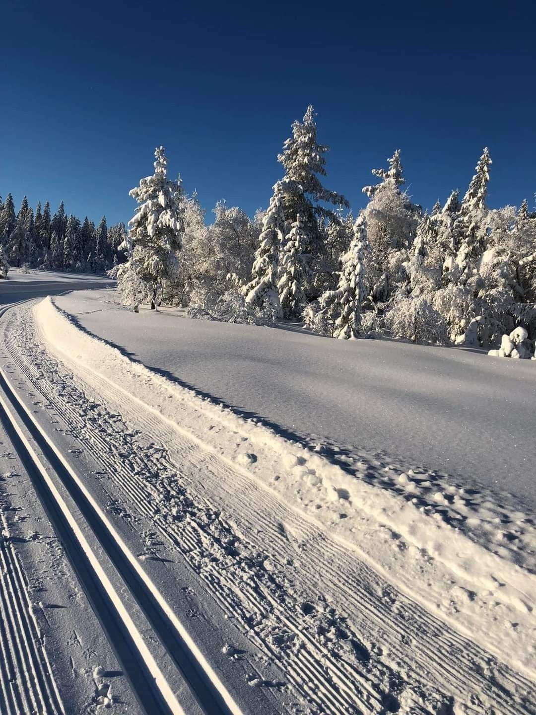 Herlige skiløyper både her og der på Skrim Galleribilde