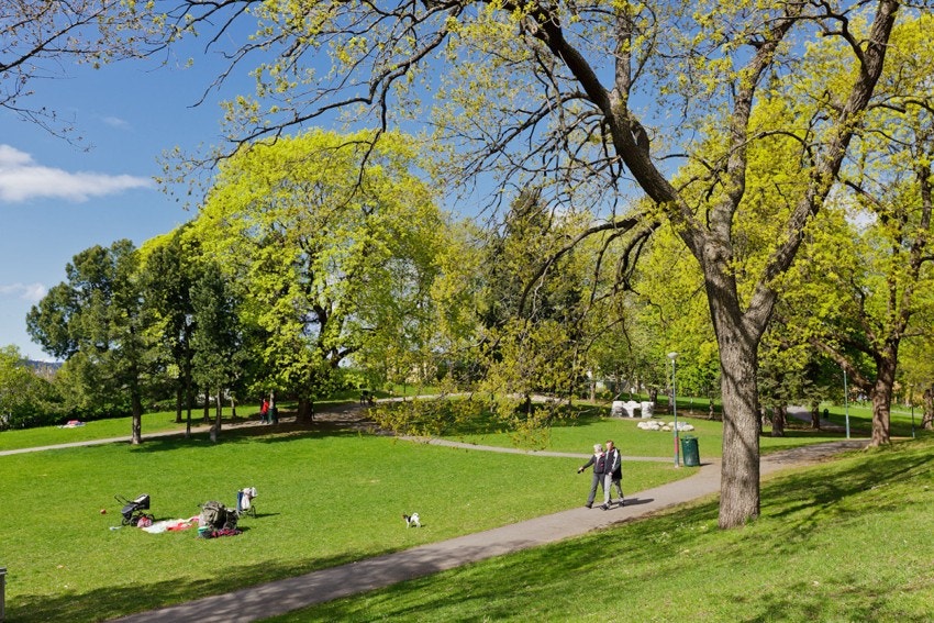 Området er kjent for sine grønne lunger og barnevennlig nabolag - her ved Bjølsenparken. Galleribilde