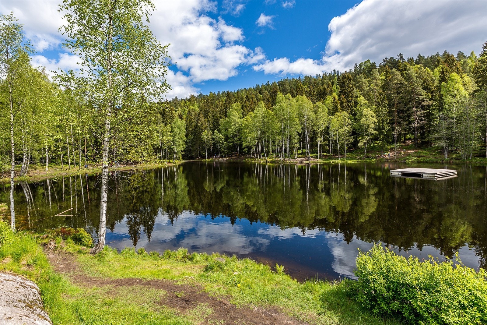 Isdammen ligger ved inngangen til marka Galleribilde