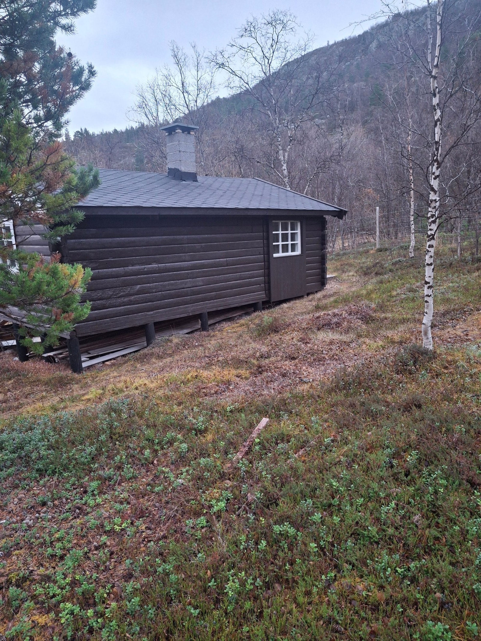 Vestvegg opp mot Botndalen Galleribilde