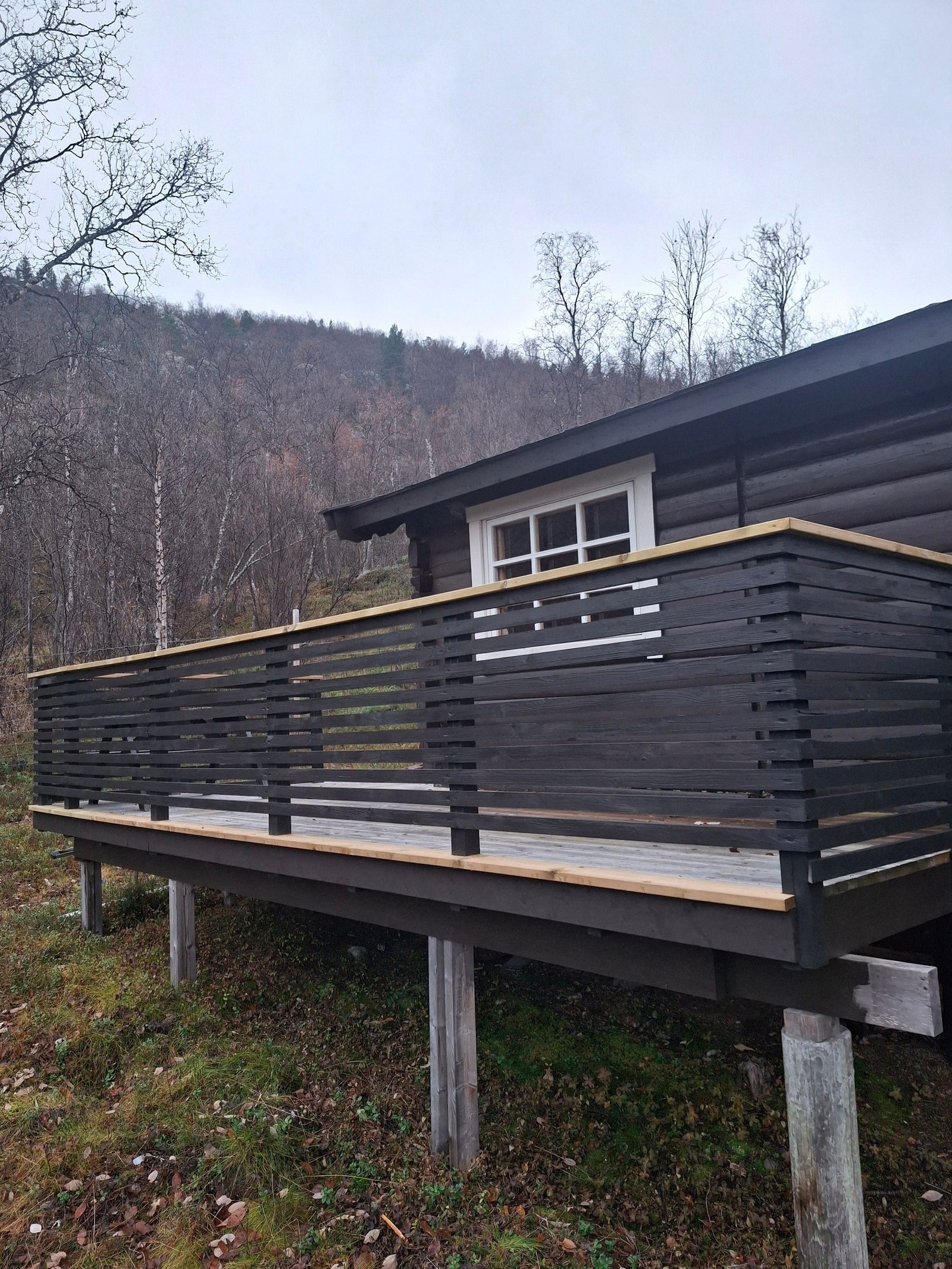 Veranda mot Kåfjord Galleribilde