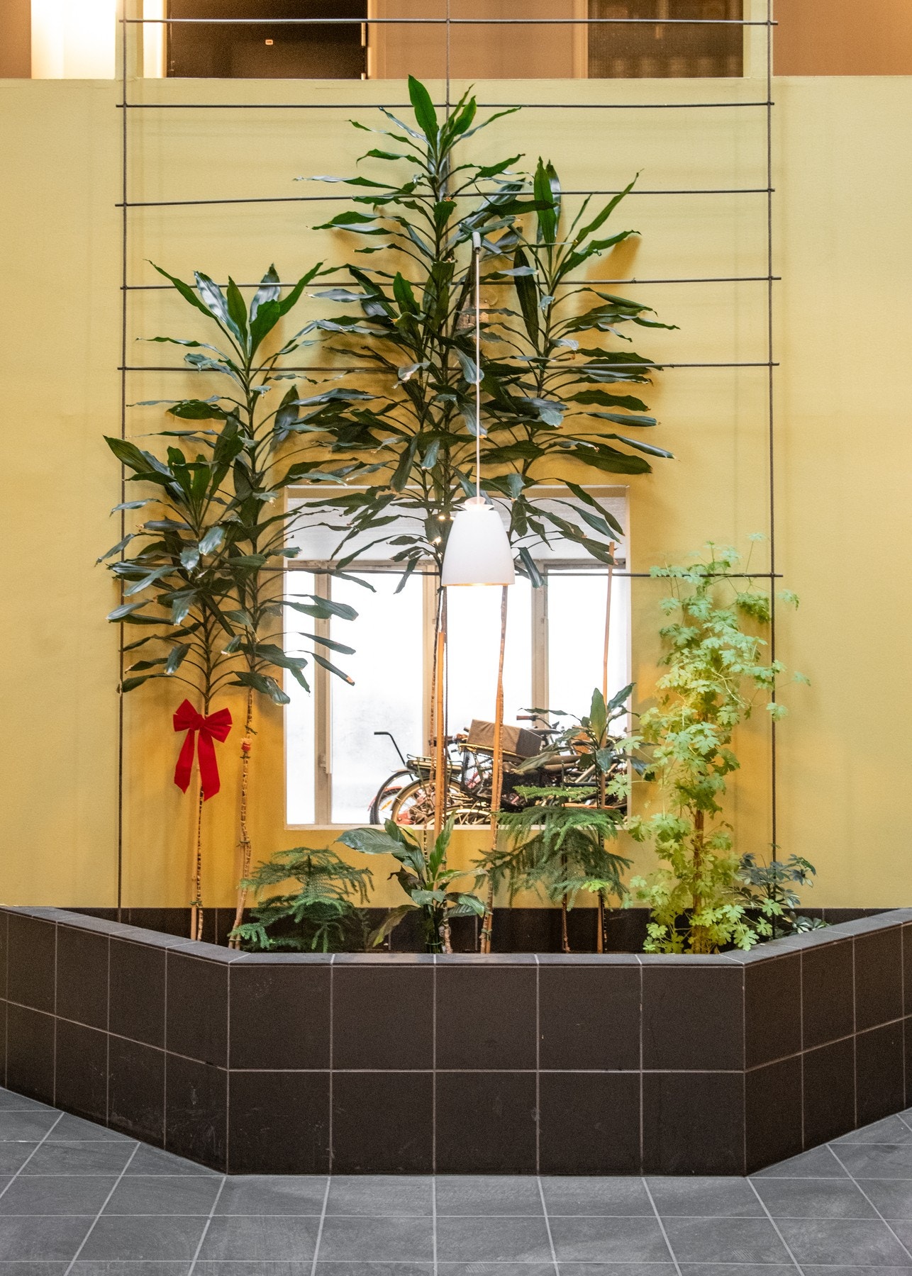 Mye naturlig lys i atriet gir gode vekstvilkår for innvendige bed. Det er også godt med sykkelparkering rett innenfor! Galleribilde