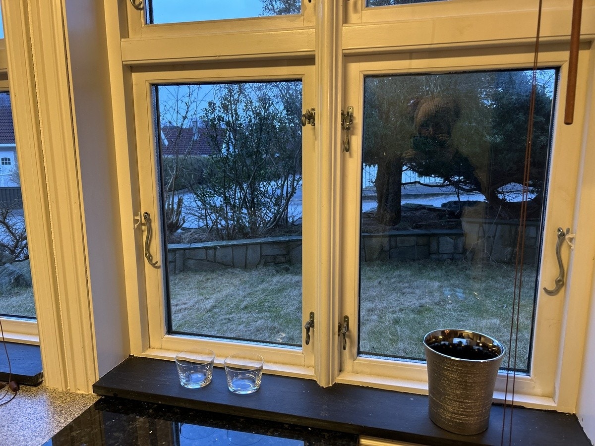 Garden from kitchen Galleribilde