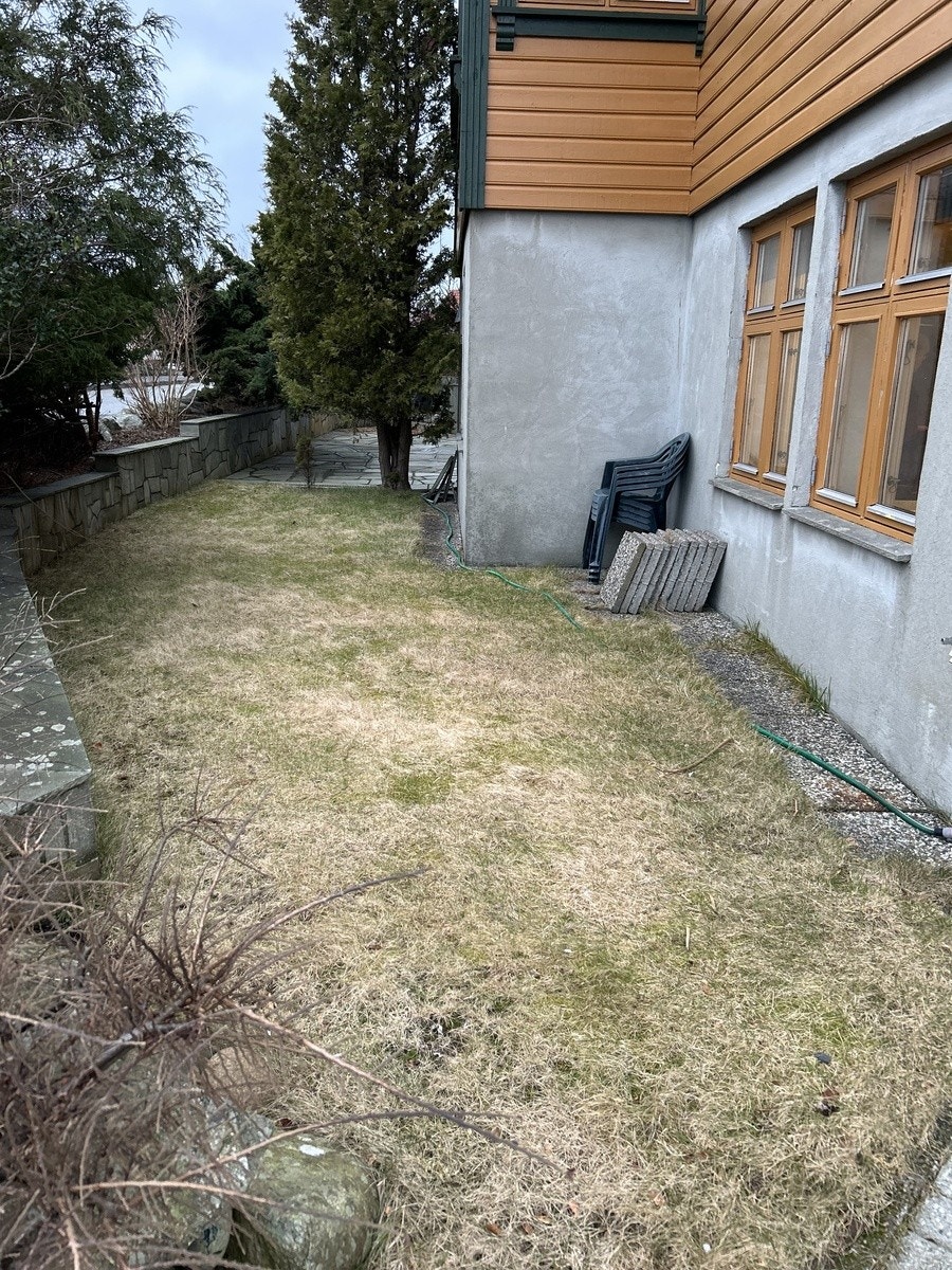 Garden Galleribilde