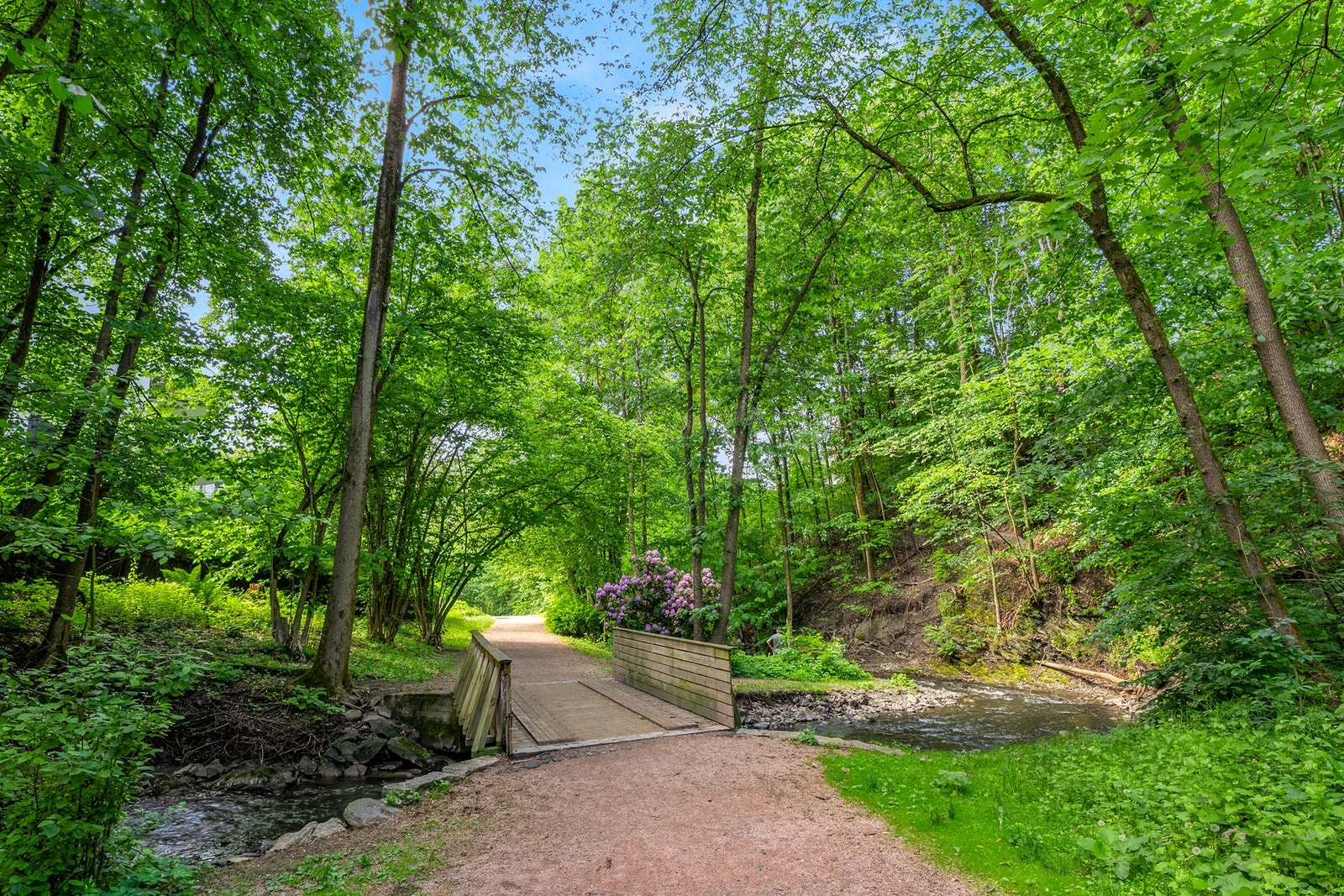 Frognerbekkdalen er et grøntdrag og en turvei i Oslo som strekker seg fra sørenden av Frognerparken (ved brua nedenfor Sinnataggen) ned til Drammensveien ved Thune/Skøyen Galleribilde