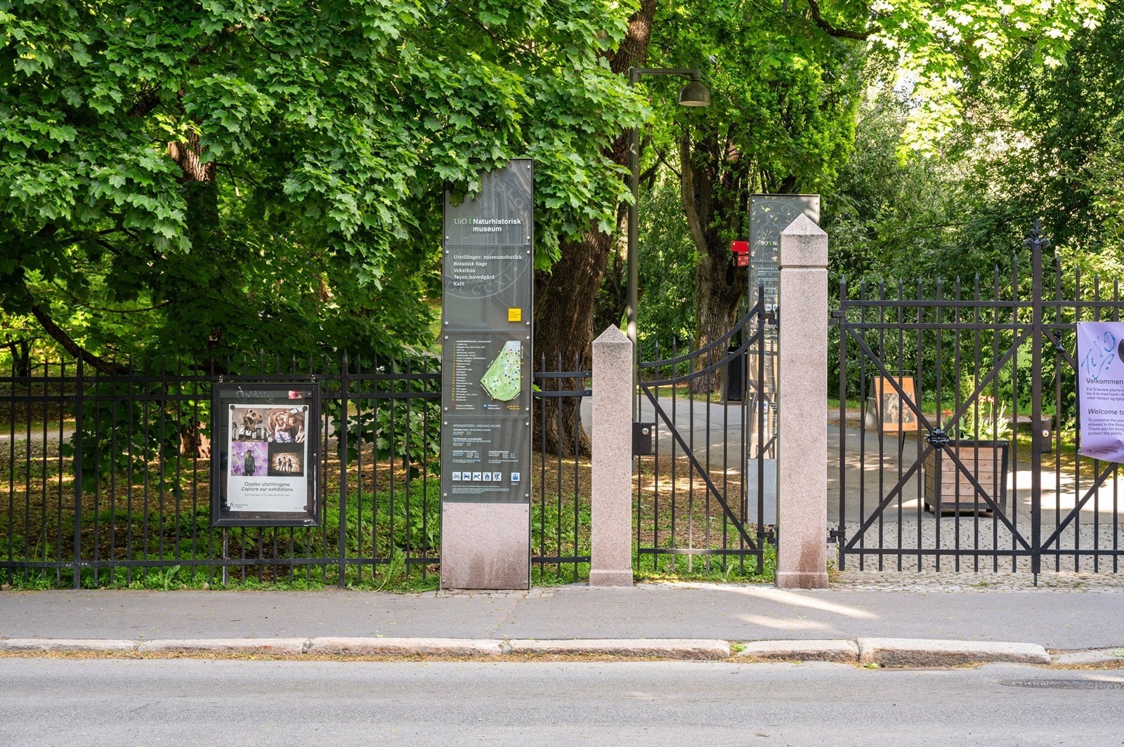 Botanisk hage - et levende museum ikke lange veien fra boligen. Galleribilde