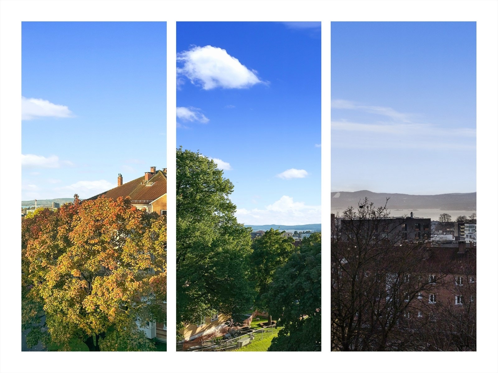 Fra stuen, soverom og balkongen kan du oppleve skifte av de ulike årstidene. Galleribilde